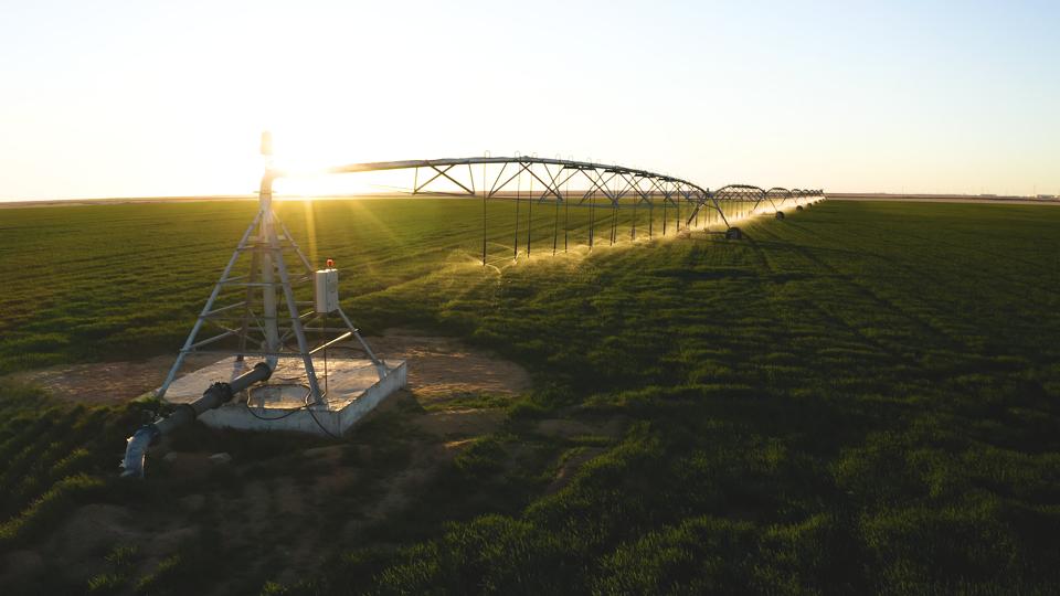 First Made-in-Egypt Irrigation Pivots in action at Toshka El Kheir, eyeing the export markets