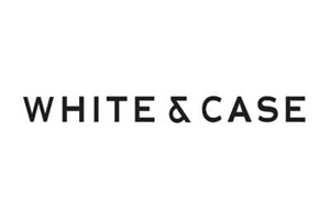 Partner Image